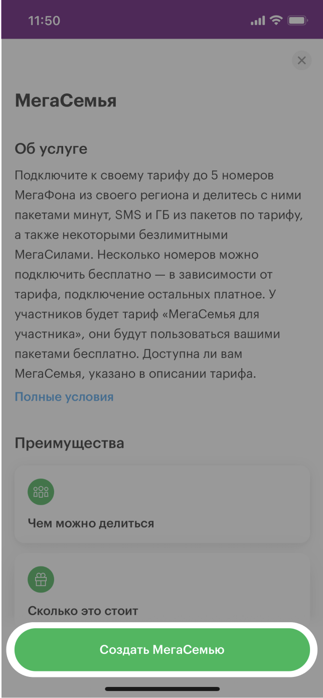 МегаСемья услуга от МегаФона: описание, условия подключения Пермский край